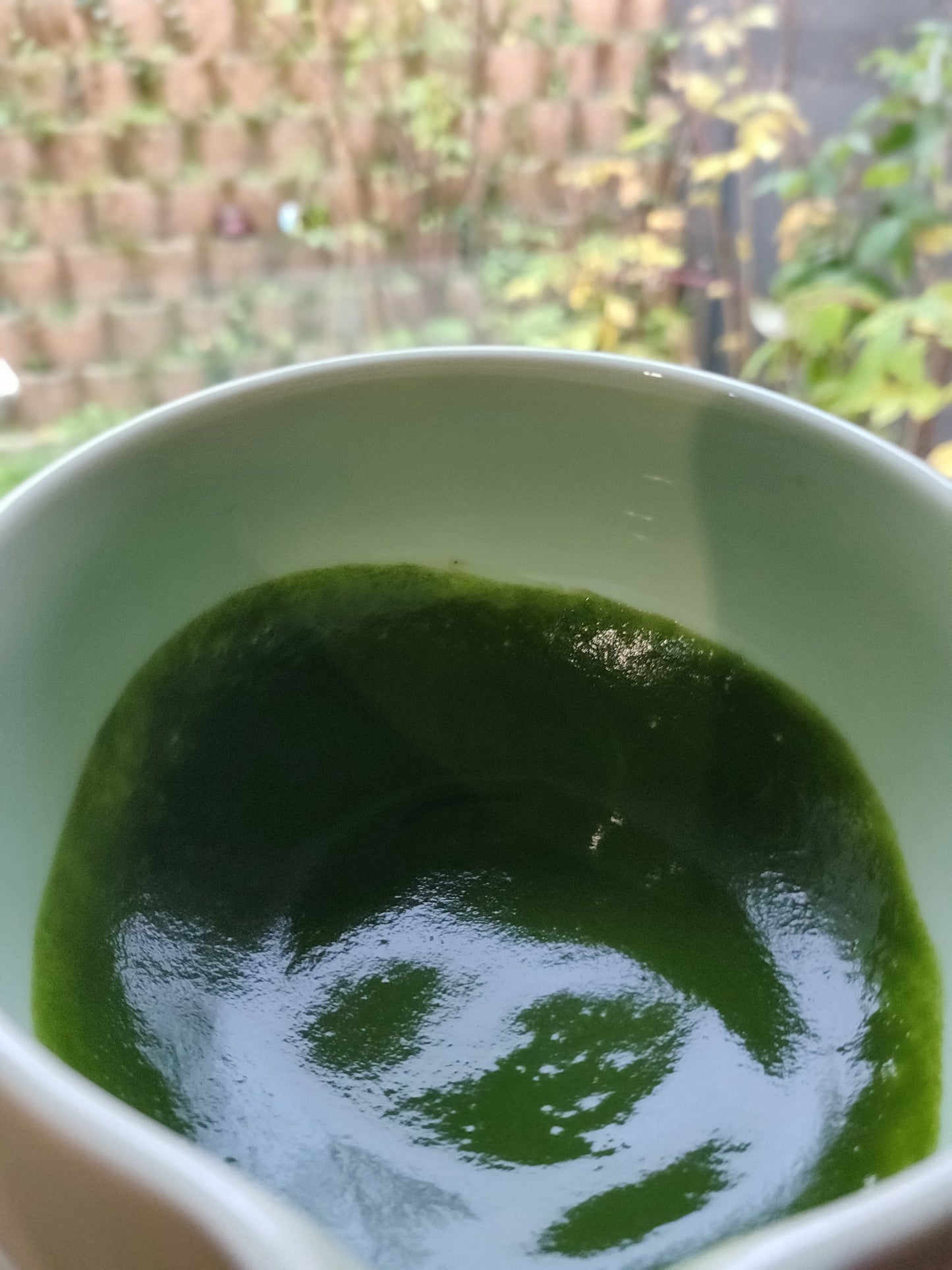 🍵 GENMAICHA IN POLVERE – Rituale Matcha, Anima Giapponese