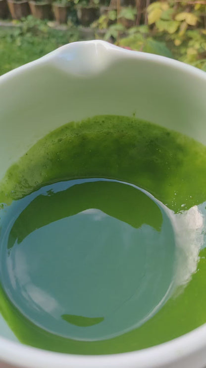 Matcha Kogamo Cérémonial – Poudre de Thé Sacrée