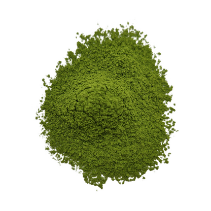 Matcha Kogamo Cérémonial – Poudre de Thé Sacrée