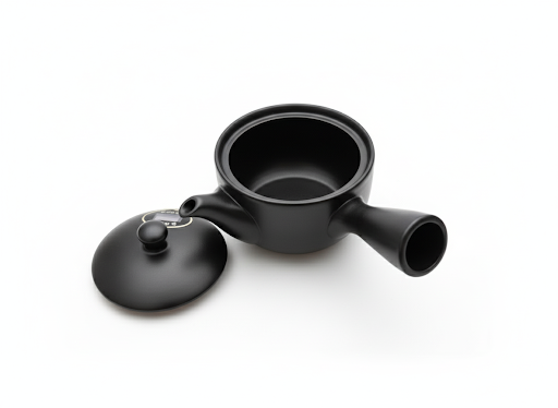 Théière noire en céramique de Tokoname